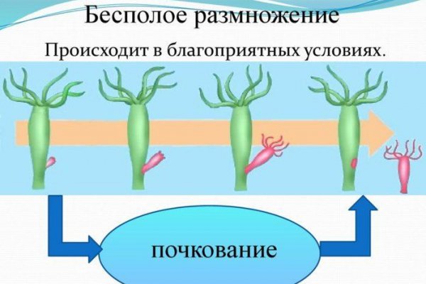 Сайт кракен kraken