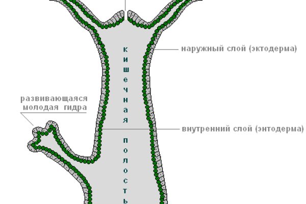 Кракен не работает сайт