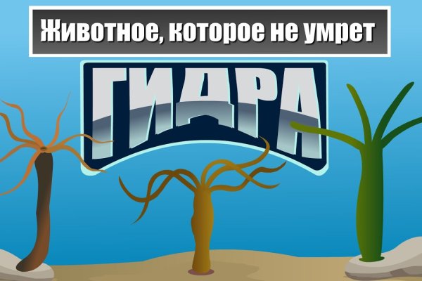 Кракен маркет это